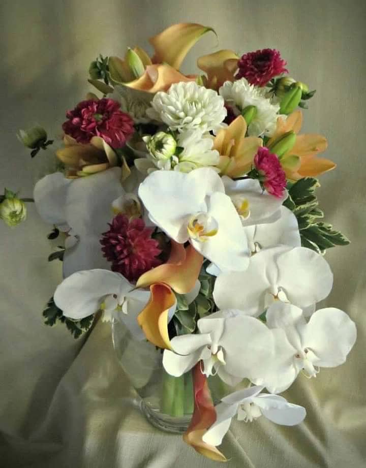 Petals